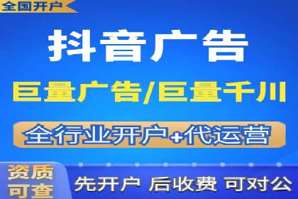 搜索引擎优化（SEO）与竞价广告（SEM）的对比案例